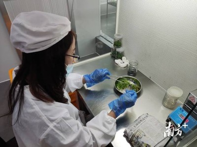 梅州 統(tǒng)籌涉農(nóng)資金辦大事，南藥產(chǎn)業(yè)發(fā)展獲生物科技研究強(qiáng)力支撐