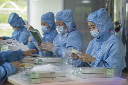 有綠、有技、有特色 鄉(xiāng)村振興新活力中的生物科技力量