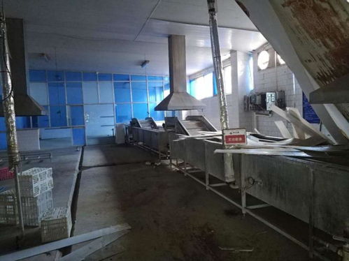 鹽城海馬食品資產網絡拍賣啟幕，廠房設備打包2115萬起拍引關注